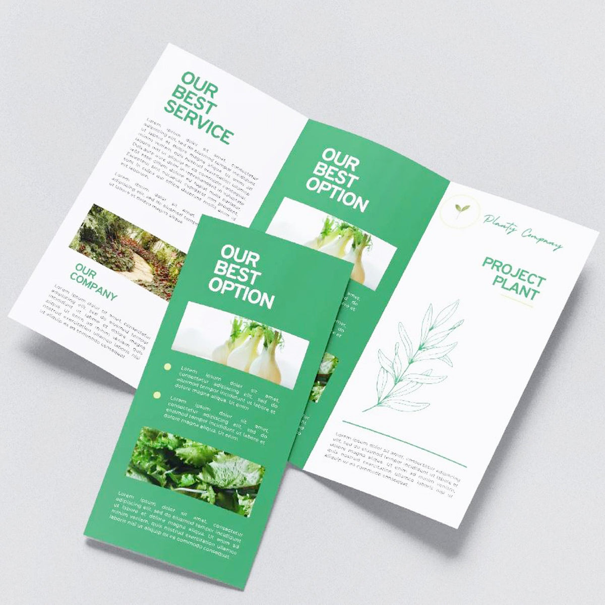 BROCHURES